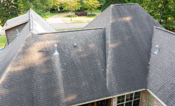 Essential Preventive Measures Against Hail Damage